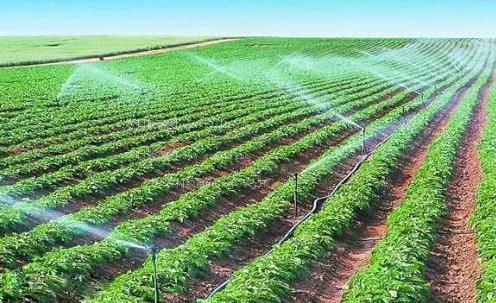外国美女干逼农田高 效节水灌溉